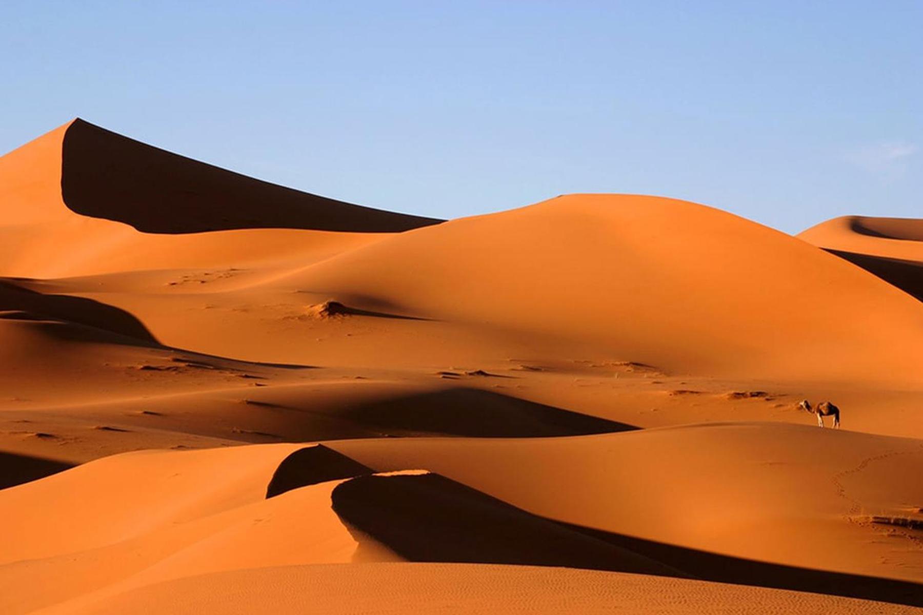 Desert Chegaga Luxury Camp El Gouera Exteriér fotografie