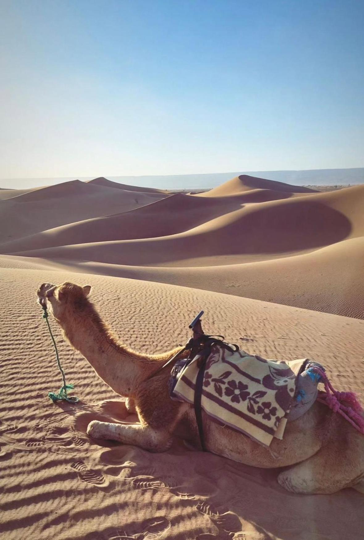 Desert Chegaga Luxury Camp El Gouera Exteriér fotografie